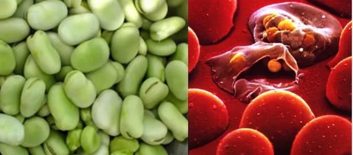 دکتر فاویسم